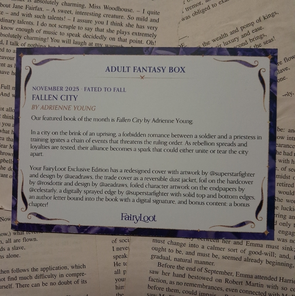 Fairyloot Edition Of Fallen City by Adrienne Young - Picture 11 of 11